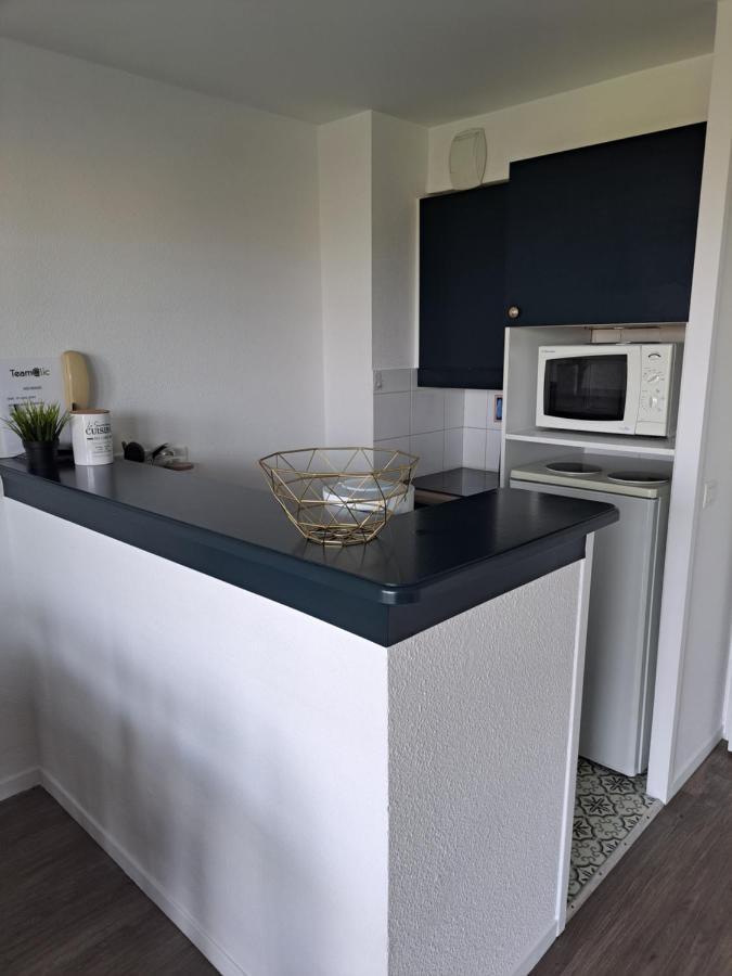 Appartement Cap Ocean Port Du Crouesty Avec Piscine Arzon